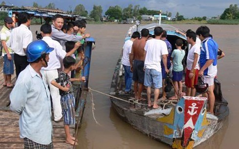 Hình ảnh cá tra 'khủng' được 'chăm sóc' đặc biệt