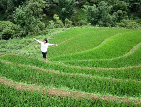 Gặp thủ khoa với bài văn `Mẹ là thần tượng`