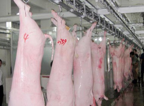 Đầu tư trăm tỷ cho lò mổ, Hà Nội vẫn phải ăn thịt từ lò chui