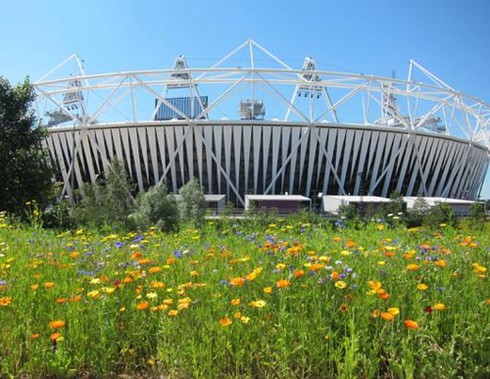 Sân Olympic sẵn sàng cho lễ khai mạc
