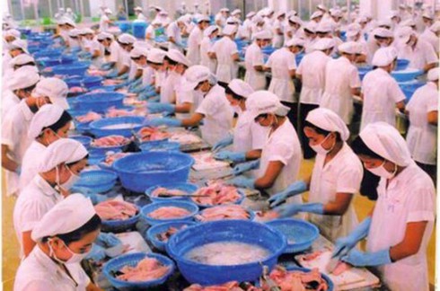 Được cứu trợ 9.000 tỷ đồng, DN cá tra vẫn than khó