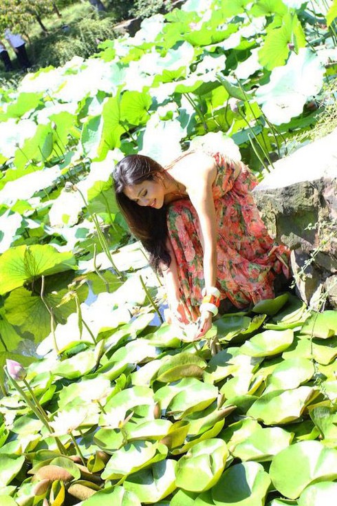 Hoàng My ngoạn cảnh hồ sen