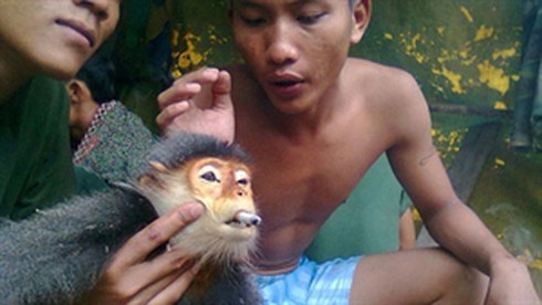 Tước quân tịch quân nhân tung ảnh giết voọc lên mạng