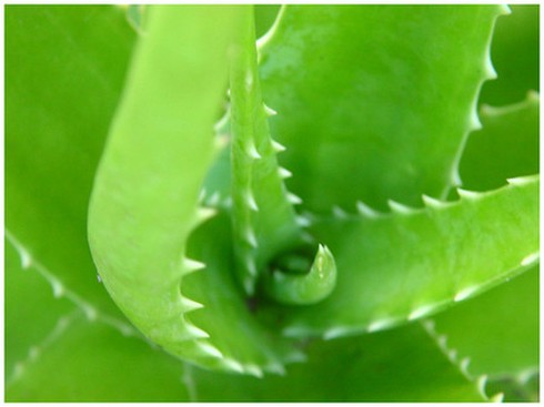 Các loại mặt nạ “đặc trị” cho môi trường máy lạnh