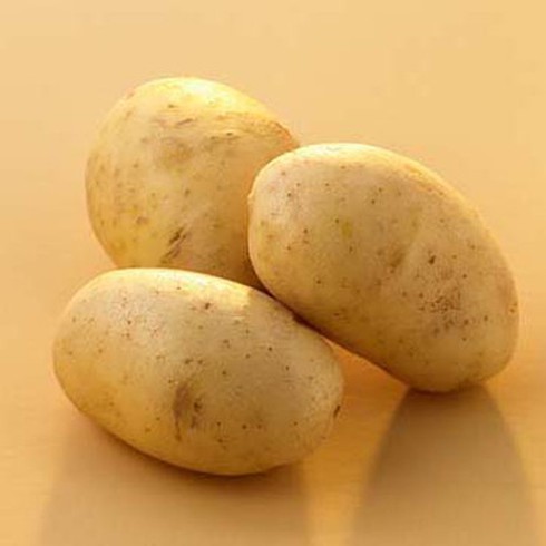 Các loại mặt nạ “đặc trị” cho môi trường máy lạnh