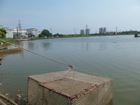 Sự thật về `vực thiêng` dìm người chết đuối ở quận Long Biên