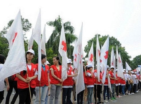 10.000 người đi bộ vì nạn nhân chất độc da cam và người khuyết tật