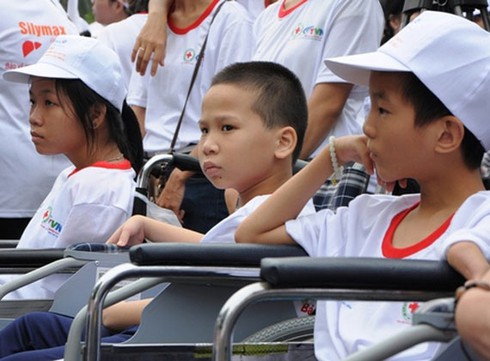 10.000 người đi bộ vì nạn nhân chất độc da cam và người khuyết tật