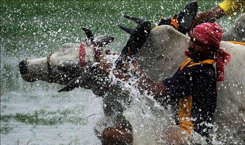 Ảnh đẹp: Ấn tượng thế giới tuần qua