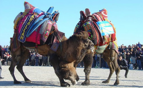 Những môn thể thao `dị` nhất hành tinh