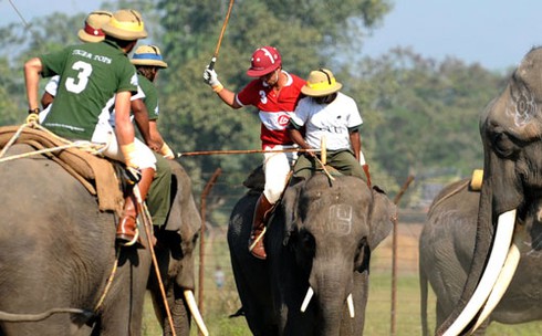 Những môn thể thao `dị` nhất hành tinh