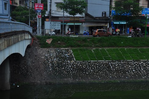 Đang đi xe SH, nhảy xuống sông Tô Lịch tự tử