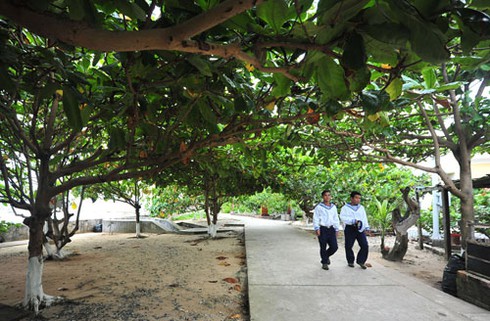 Hình ảnh tuyệt đẹp về Trường Sa giữa Biển Đông