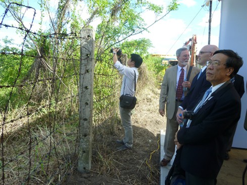 Sen vẫn nở trong điểm nhiễm độc dioxin cạnh sân bay Đà Nẵng
