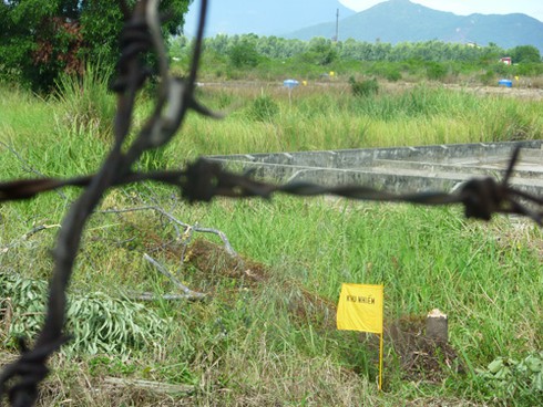 Sen vẫn nở trong điểm nhiễm độc dioxin cạnh sân bay Đà Nẵng