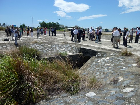 Sen vẫn nở trong điểm nhiễm độc dioxin cạnh sân bay Đà Nẵng