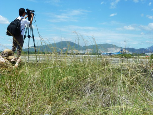 Sen vẫn nở trong điểm nhiễm độc dioxin cạnh sân bay Đà Nẵng