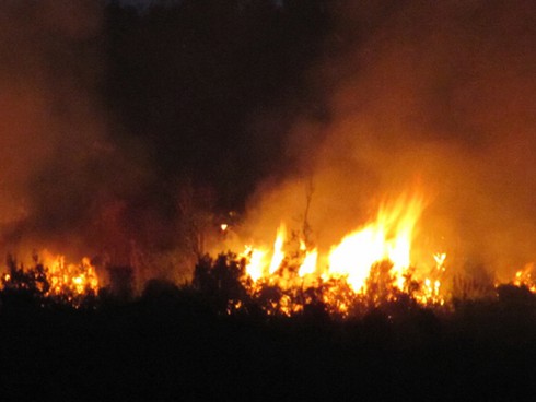 Vì sao rừng Đà Nẵng liên tục bị cháy?