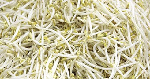 Phát hiện hóa chất cấm dùng làm giá đỗ tại Việt Nam