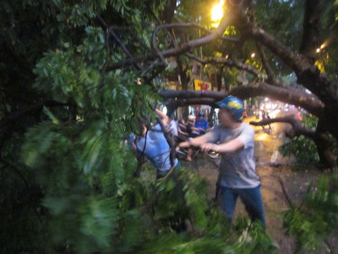 Mưa bão quật đổ hàng loạt cây cổ thụ, gây chết người ở Hà Nội