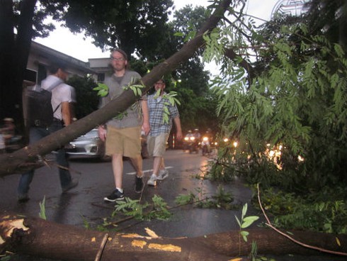 Mưa bão quật đổ hàng loạt cây cổ thụ, gây chết người ở Hà Nội