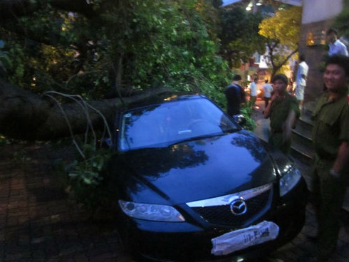 Mưa bão quật đổ hàng loạt cây cổ thụ, gây chết người ở Hà Nội