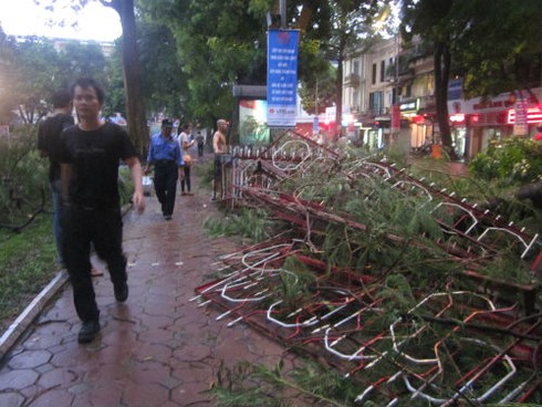 Mưa bão quật đổ hàng loạt cây cổ thụ, gây chết người ở Hà Nội