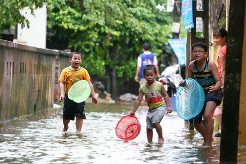 Người Hà Nội nô nức bắt cá trên phố