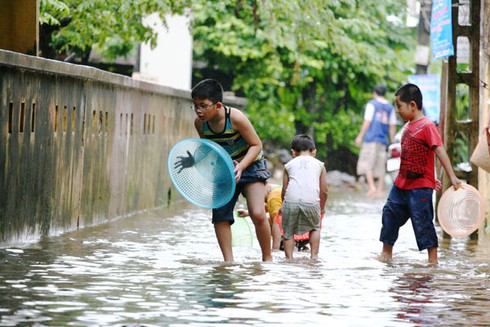 Người Hà Nội nô nức bắt cá trên phố