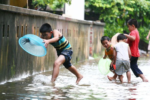 Người Hà Nội nô nức bắt cá trên phố