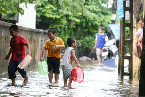 Người Hà Nội nô nức bắt cá trên phố