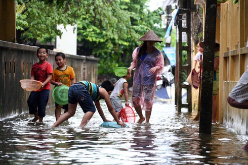 Người Hà Nội nô nức bắt cá trên phố