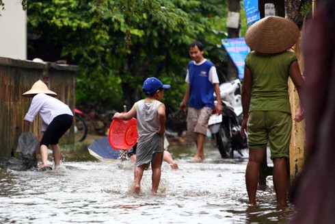 Người Hà Nội nô nức bắt cá trên phố