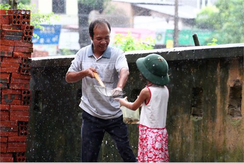 Người Hà Nội nô nức bắt cá trên phố