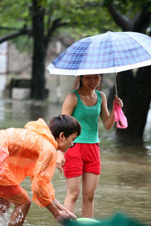 Người Hà Nội nô nức bắt cá trên phố