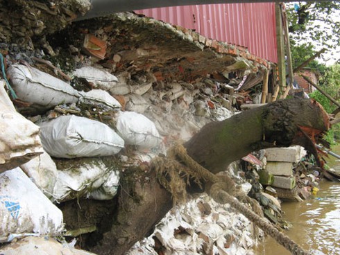 Kinh hoàng nhà ven sông Hồng