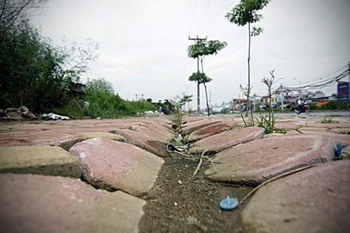 Đường 32 lỡ hẹn thông xe, vỉa hè đầy cỏ dại