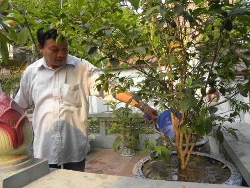 Ám ảnh nạn đói Ất Dậu và chuyện người coi ngôi mộ khổng lồ