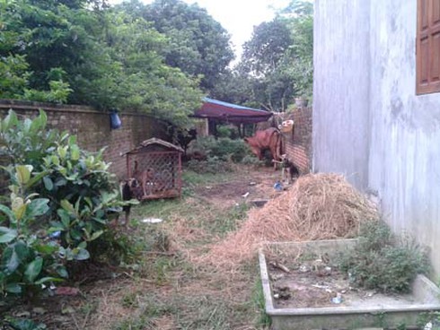 Dùng “luật rừng” lấy nhà gán nợ?