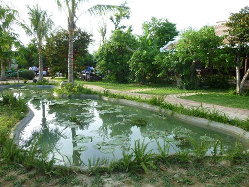 Những cây dâu Chăm hàng trăm tuổi ở `Làng lụa` Quảng Nam