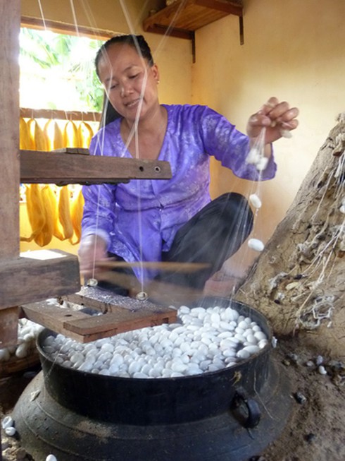 Những cây dâu Chăm hàng trăm tuổi ở `Làng lụa` Quảng Nam