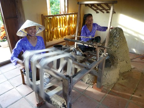 Những cây dâu Chăm hàng trăm tuổi ở `Làng lụa` Quảng Nam