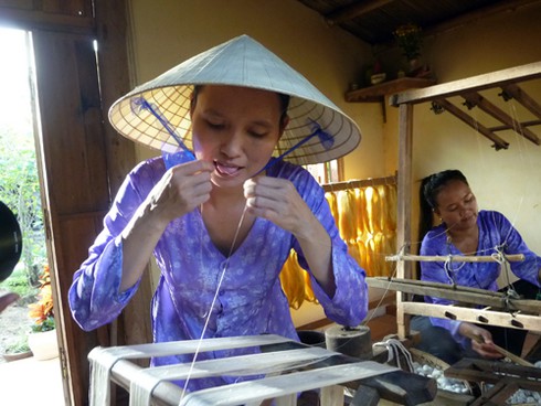 Những cây dâu Chăm hàng trăm tuổi ở `Làng lụa` Quảng Nam