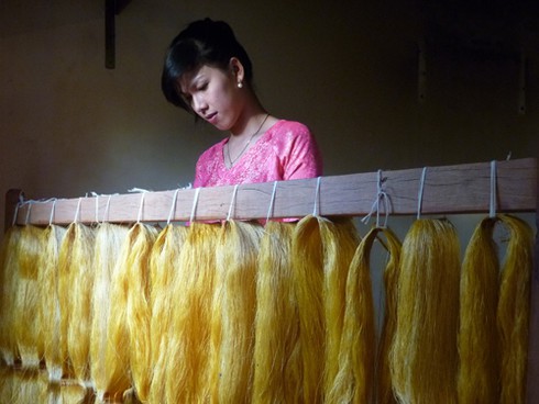 Những cây dâu Chăm hàng trăm tuổi ở `Làng lụa` Quảng Nam