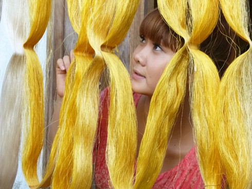 Những cây dâu Chăm hàng trăm tuổi ở `Làng lụa` Quảng Nam