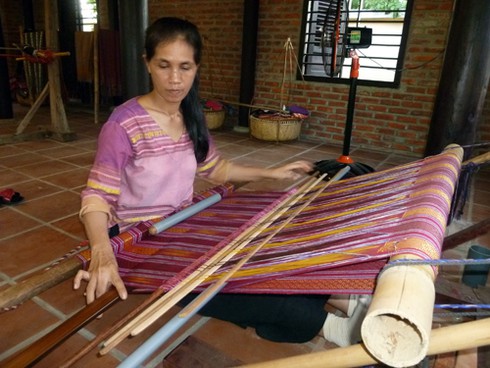 Những cây dâu Chăm hàng trăm tuổi ở `Làng lụa` Quảng Nam