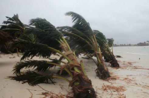 Bão lớn nhất 60 năm qua tấn công Nhật Bản