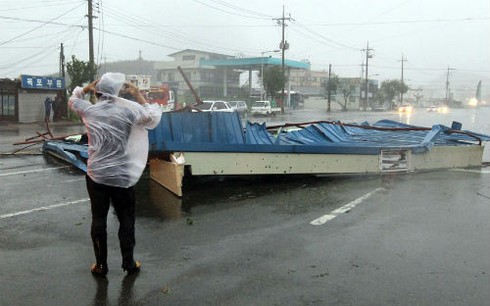 “Siêu bão” mạnh nhất 10 năm qua, tàn phá Hàn Quốc