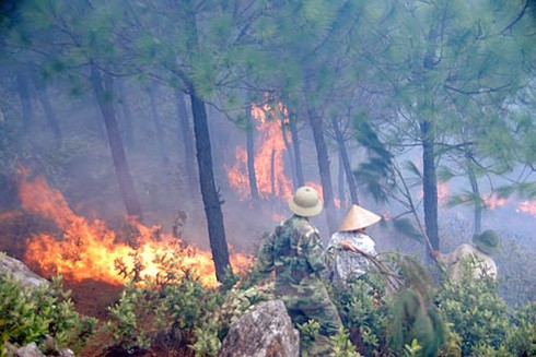 Cháy lớn rừng Hà Tĩnh