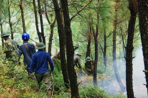Cháy lớn rừng Hà Tĩnh